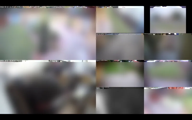 Frigate Birdseye camera wall with an uneven ten camera layout
