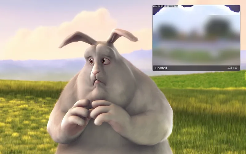 The doorbell camera, blurred, as a corner overlay over a film playing on the TV (Big Buck Bunny, Blender Foundation, CC BY 3.0)